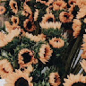 Meet your Posher, Hadley